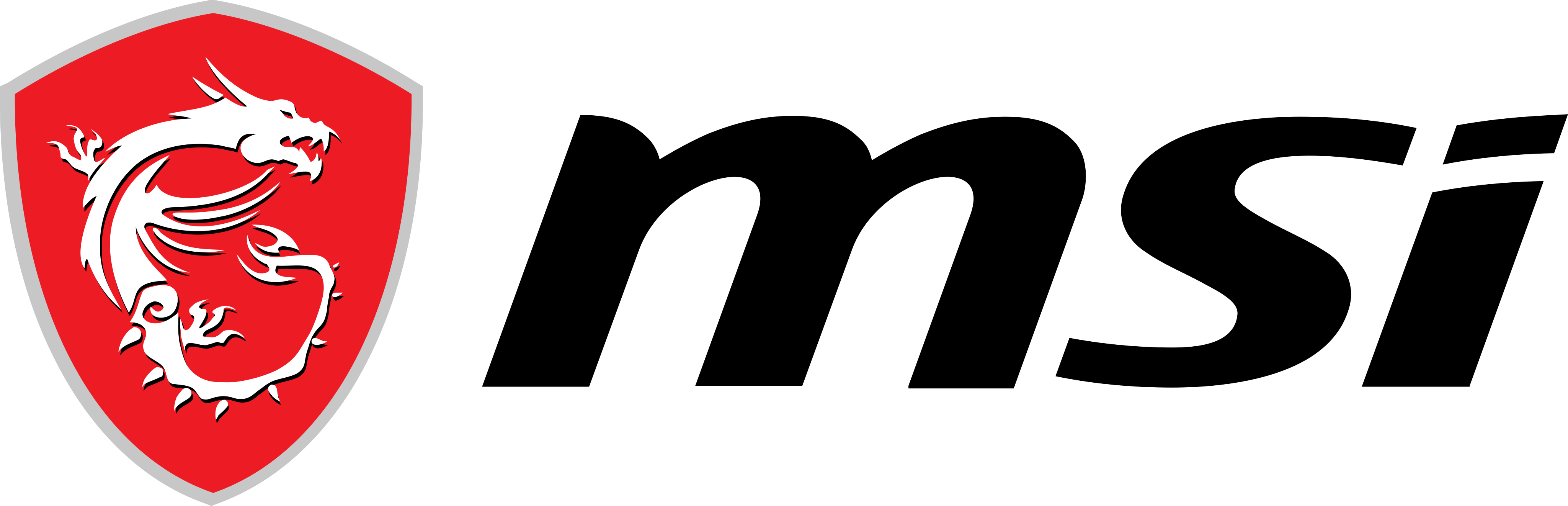 Company Name